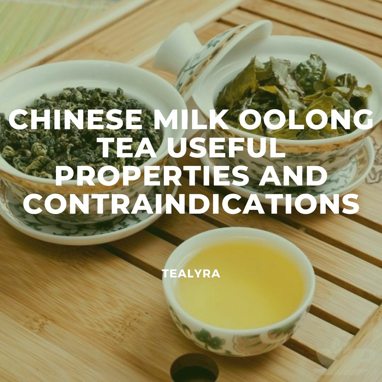 Chinese milk oolong tea useful properties and contraindications