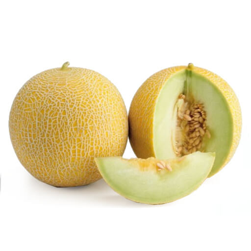 Melon