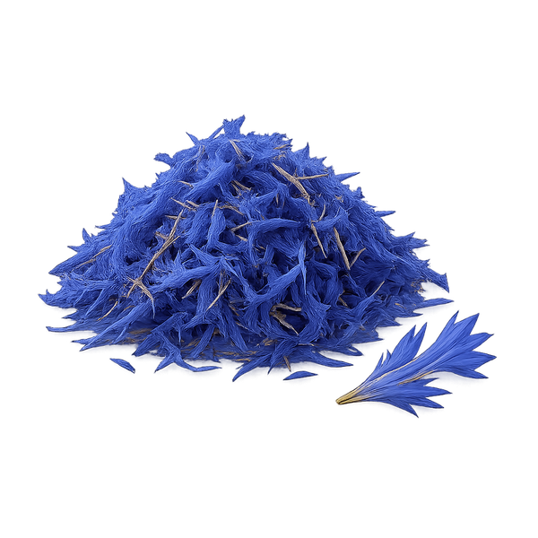 Centaur&eacute;e bleuet