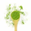 Matcha Ceremony green tea powder