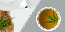 Thé au chanvre