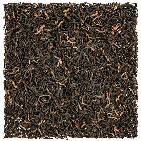 Assam Khagorijan Strong