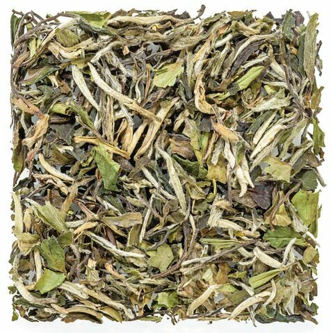 Pai Mu Tan White Peony