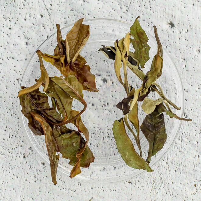 Pai Mu Tan White Peony