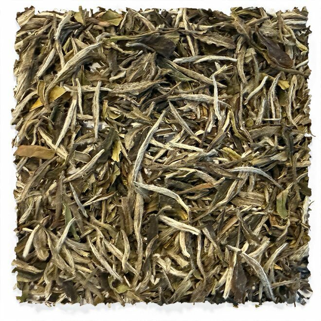 Weiße Pfingstrose Tieguanyin Baicha