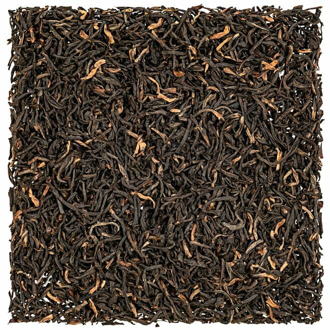 Assam Khagorijan Strong