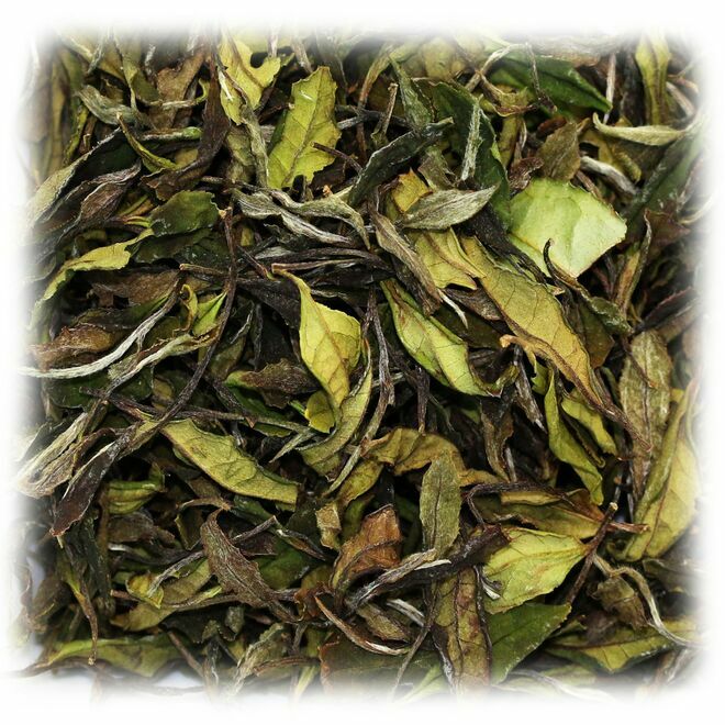 Japanese Kanayamidori White Tea